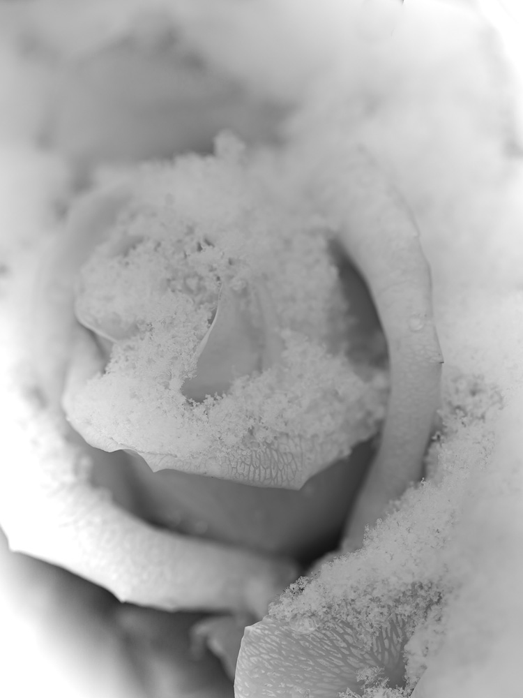 Platz 12 Anton Kienle